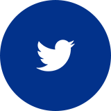 Software ERP para empresas - twitter logo azul
